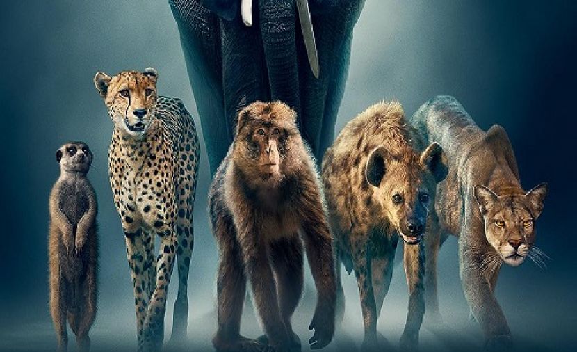 Dynasties II - 1