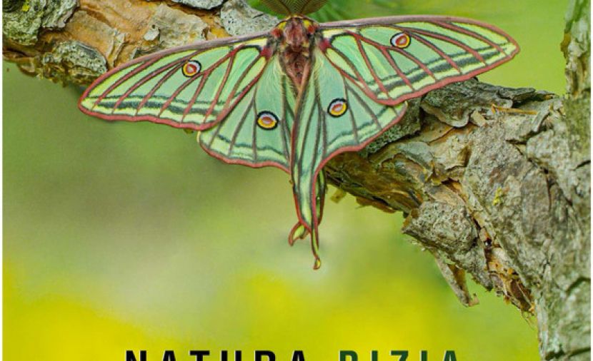 Natura Bizia - 1