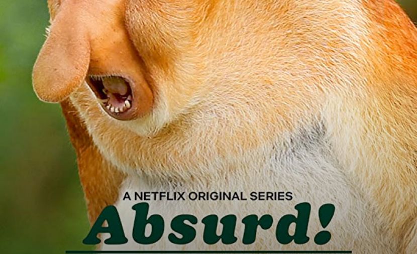 Absurd Planet الموسم الاول - 4